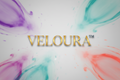Veloura Gold Navy Logo